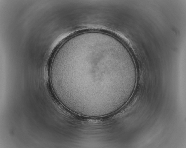 X0000112961271200909171250