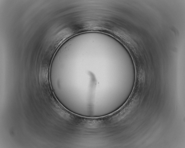 X0000112961273200909171250