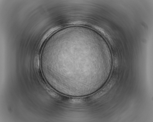 X0000112961274200909171250