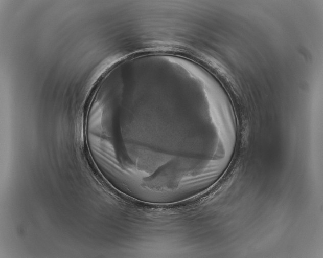 X0000112961275200909171250