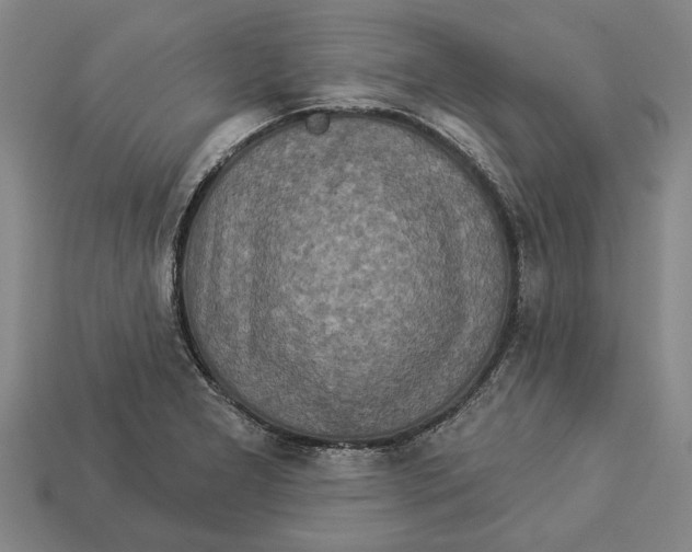 X0000112961277200909171250