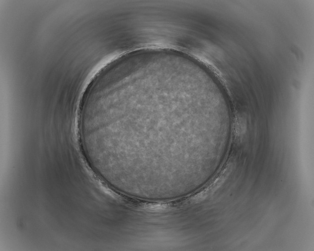 X0000112961278200909171250