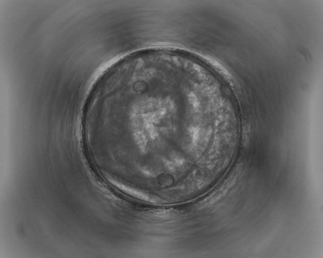 X0000112961279200909171250