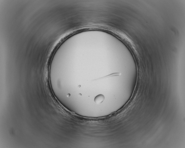 X0000112961280200909171250