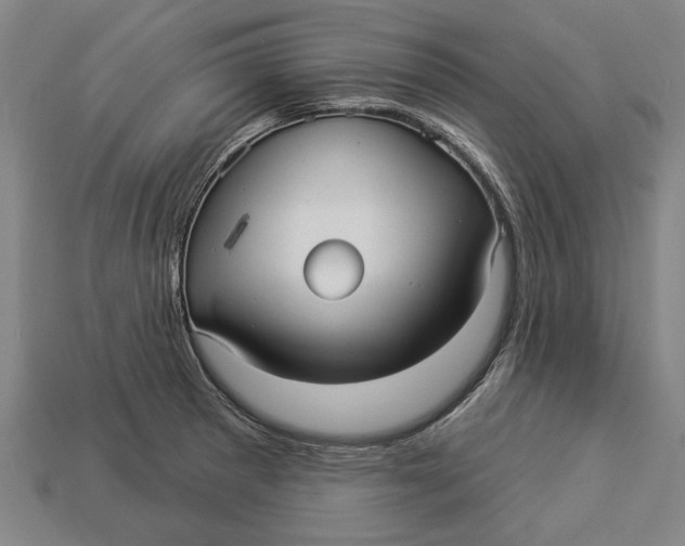 X0000112961281200909171250