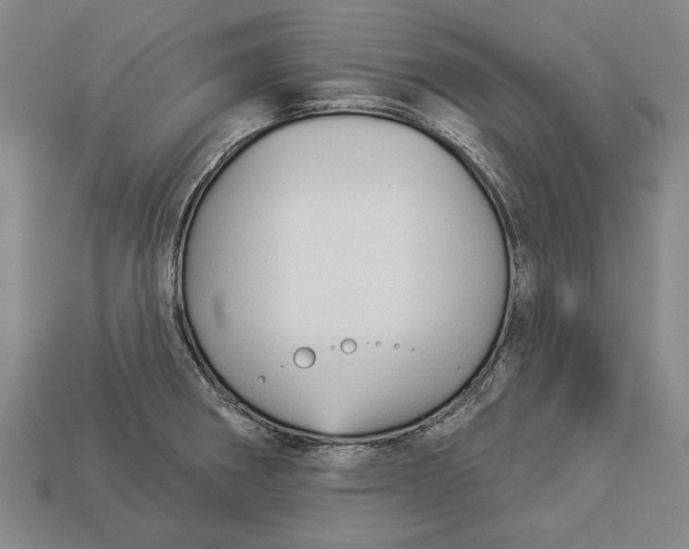 X0000112961282200909171250