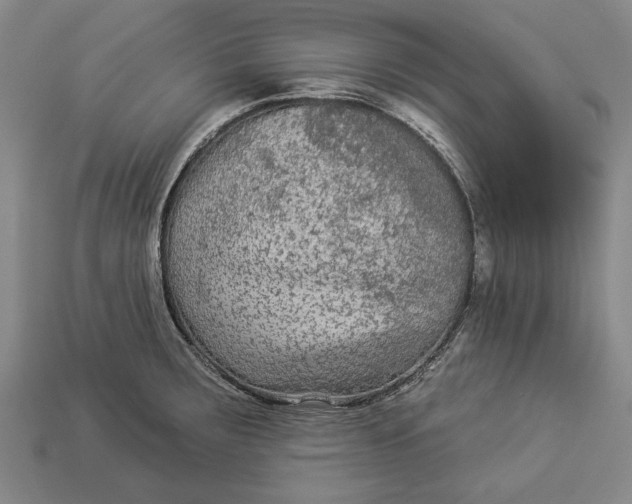 X0000112961283200909171250