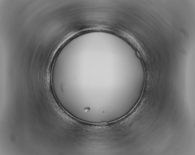 X0000112961284200909171250