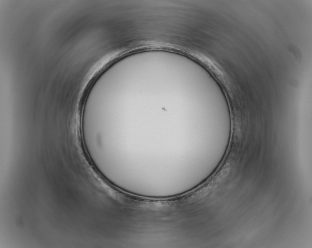 X0000112961286200909171250