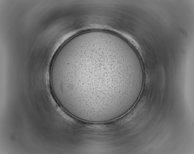 X0000112961287200909171250