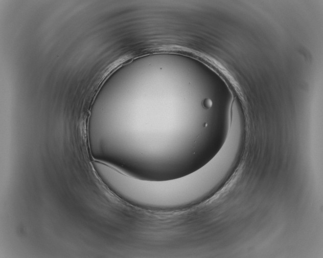 X0000112961289200909171250