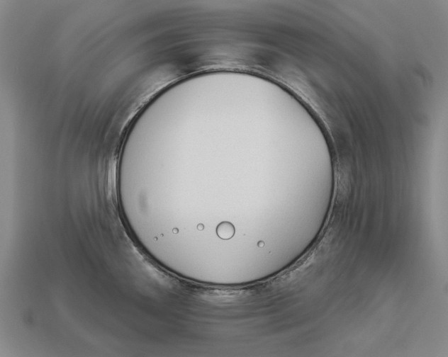 X0000112961290200909171250