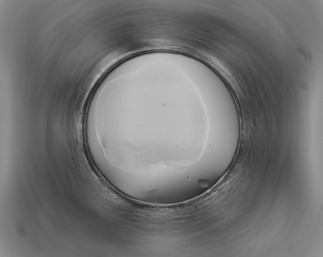 X0000112961291200909171250