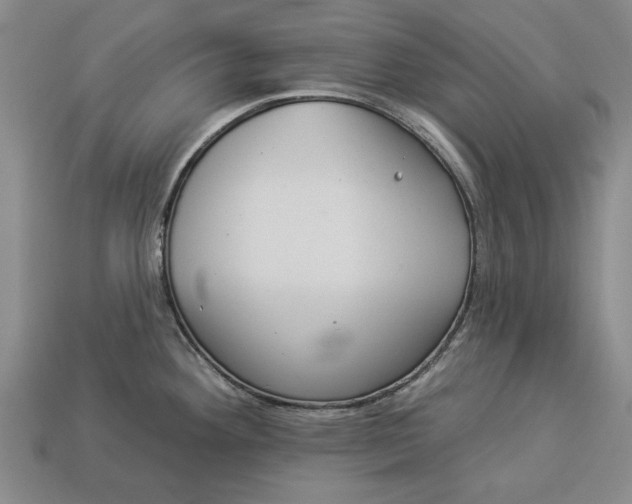 X0000112961292200909171250