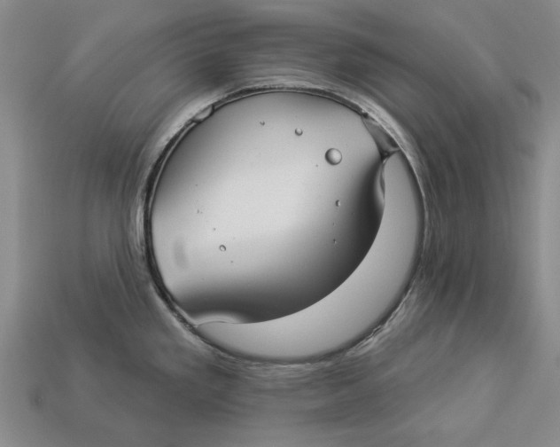 X0000112961293200909171250