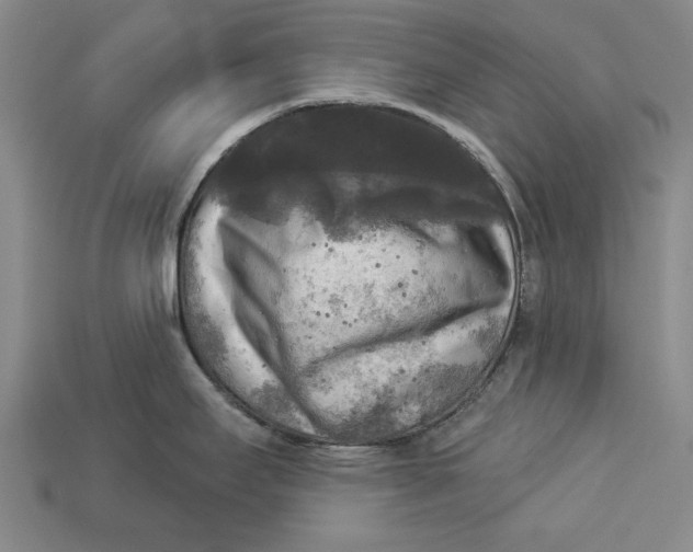 X0000112961295200909171250