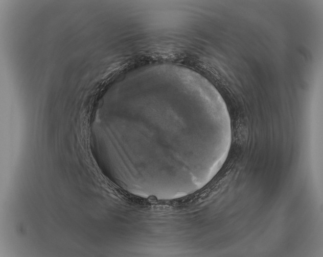 X0000112961297200909171249