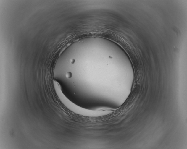 X0000112961298200909171249