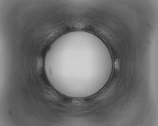 X0000112961299200909171249