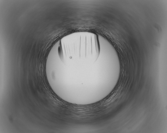 X0000112961300200909171249