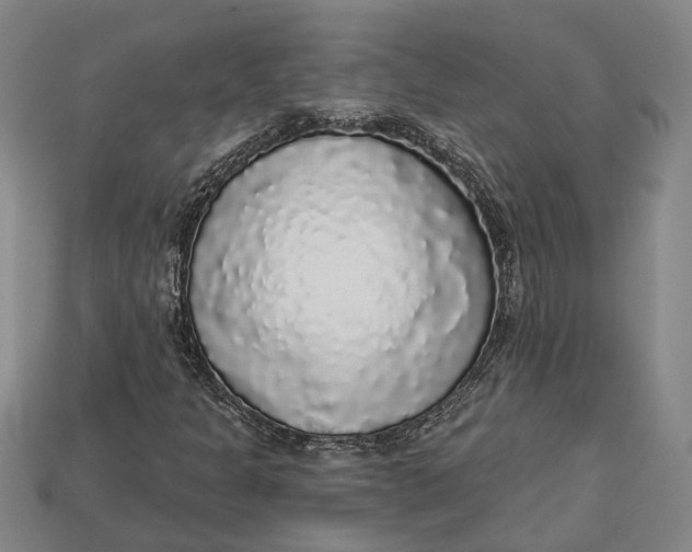 X0000112961301200909171249