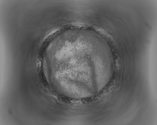 X0000112961302200909171249