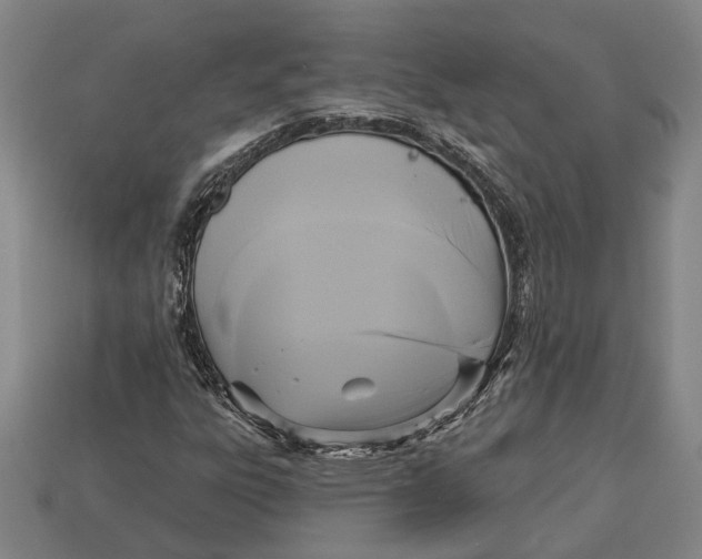 X0000112961303200909171249