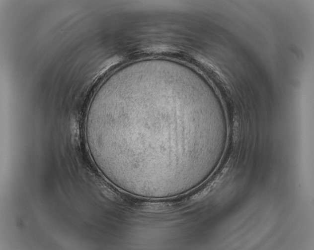 X0000112961305200909171249