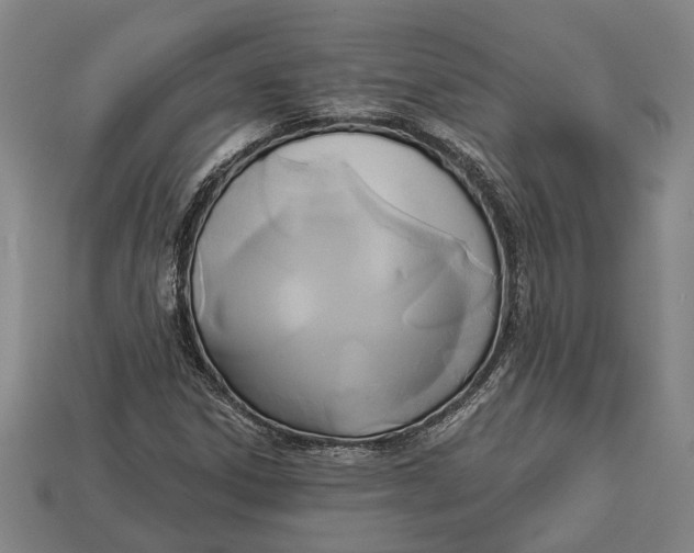 X0000112961306200909171249