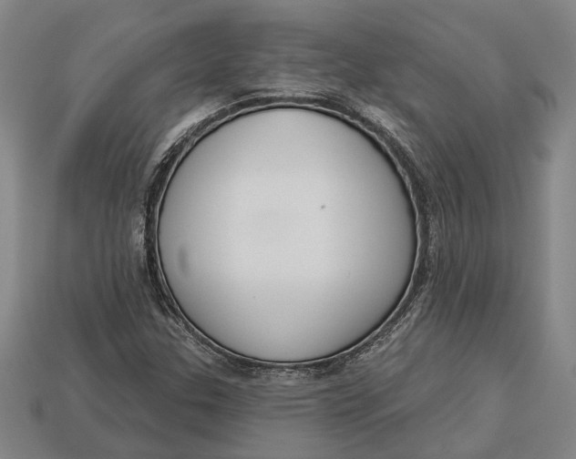 X0000112961307200909171249