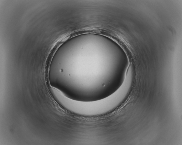 X0000112961308200909171249