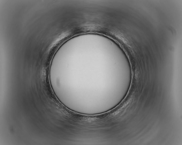 X0000112961309200909171249