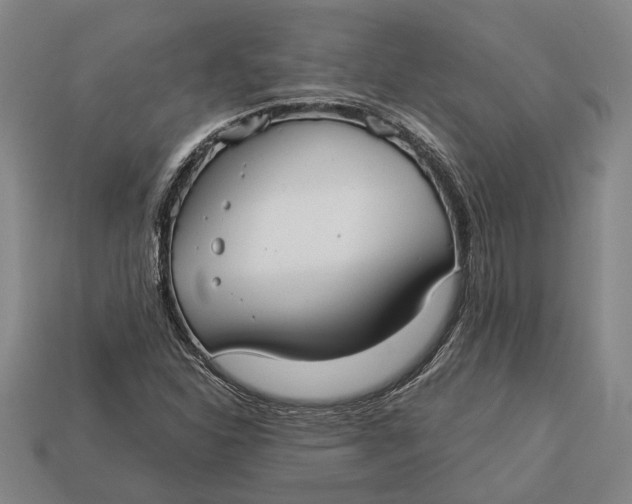 X0000112961310200909171249