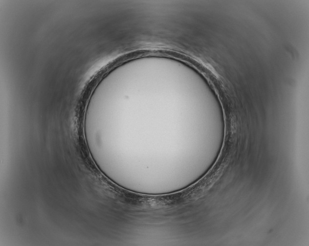 X0000112961311200909171249