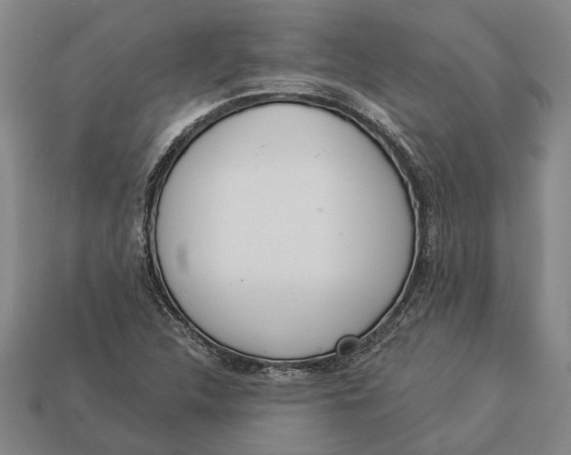 X0000112961312200909171249