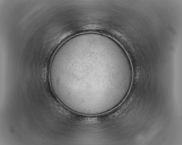 X0000112961313200909171249