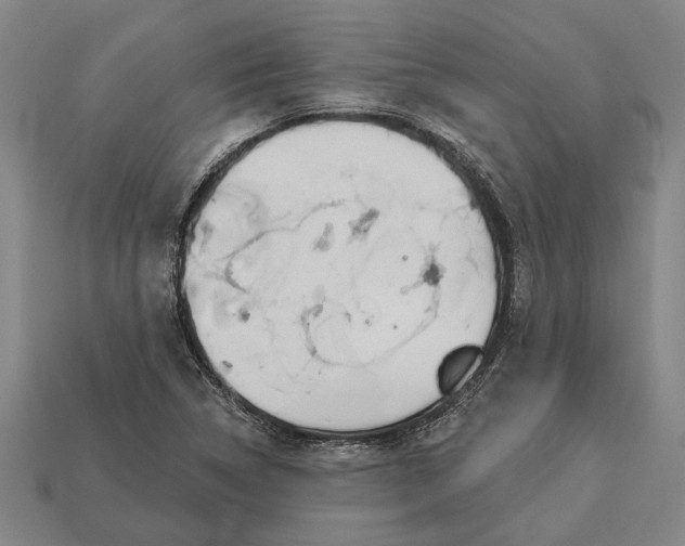 X0000112961314200909171249