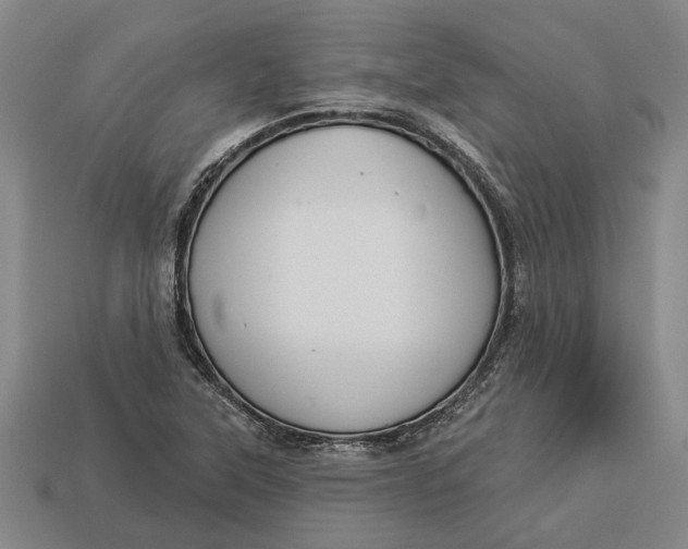 X0000112961315200909171250