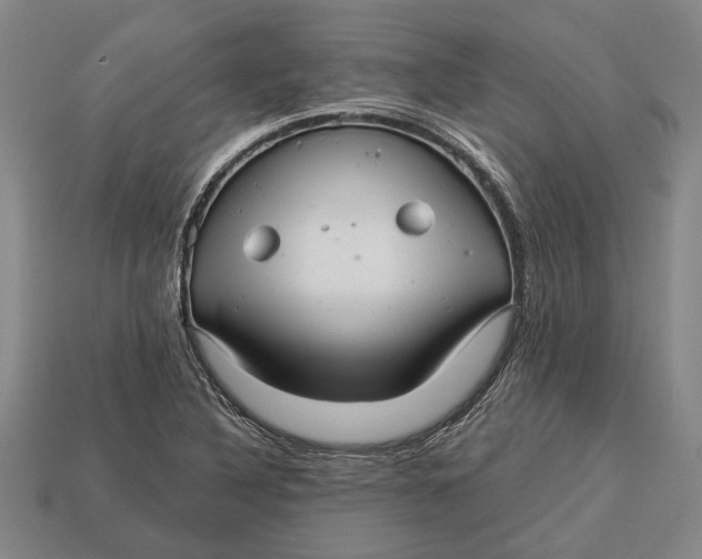 X0000112961316200909171250