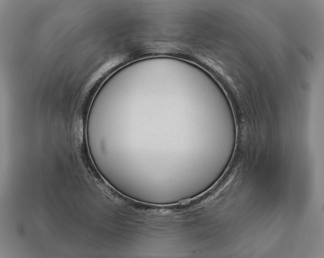 X0000112961317200909171250