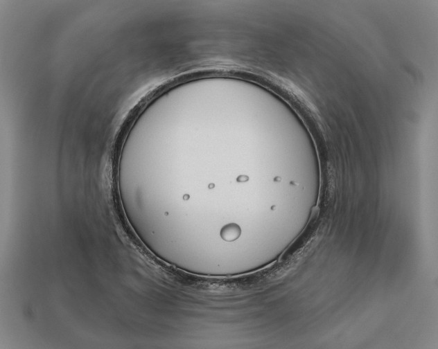 X0000112961318200909171250