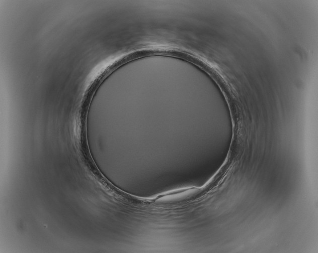 X0000112961319200909171250