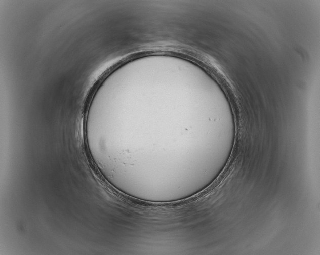 X0000112961320200909171250