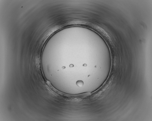 X0000112961321200909171250