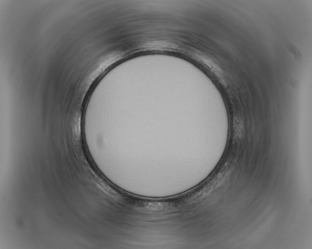 X0000112961322200909171250