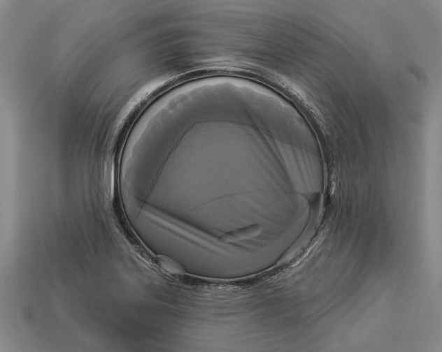 X0000112961323200909171250