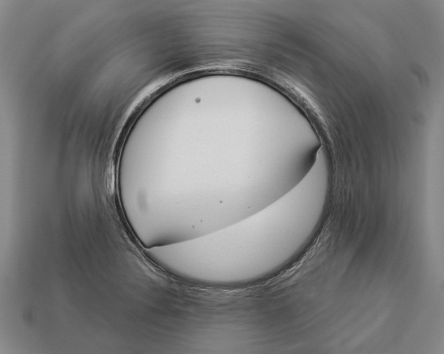 X0000112961324200909171250