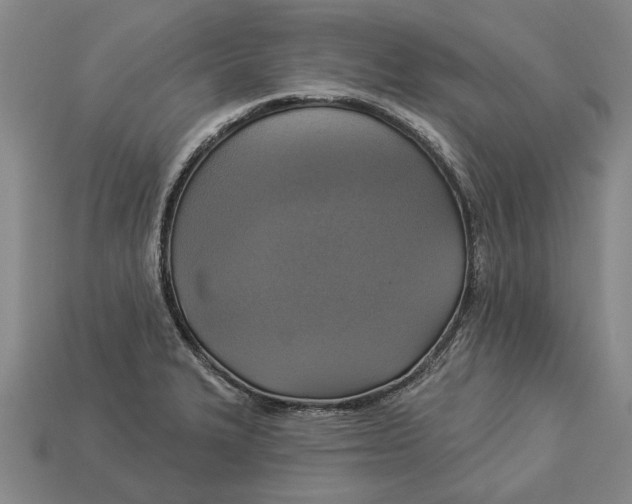 X0000112961327200909171250