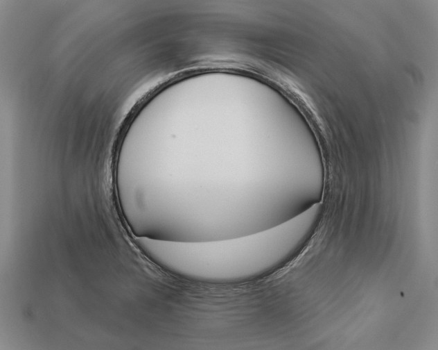 X0000112961328200909171250