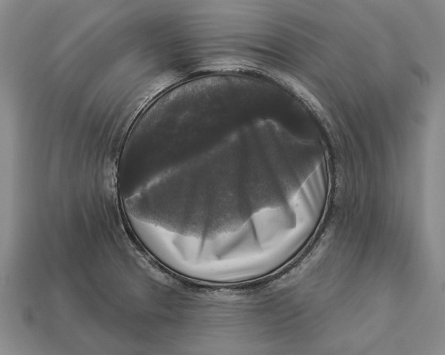 X0000112961329200909171250